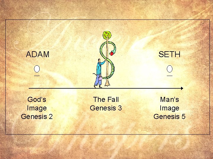ADAM God’s Image Genesis 2 SETH The Fall Genesis 3 Man’s Image Genesis 5