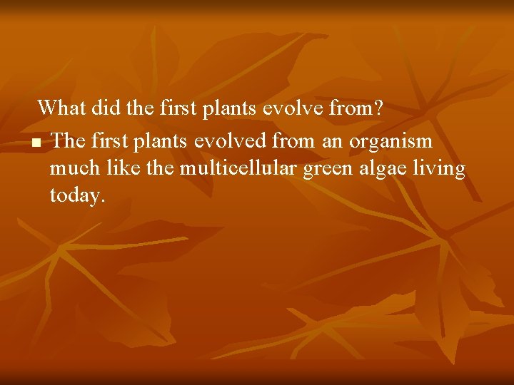 What did the first plants evolve from? n The first plants evolved from an