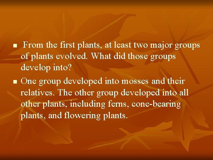 n n From the first plants, at least two major groups of plants evolved.