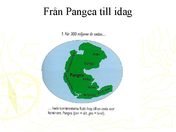 Från Pangea till idag 