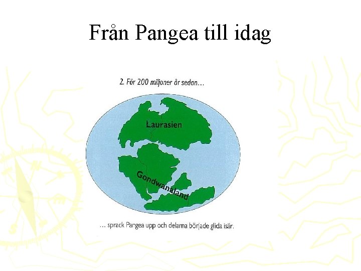 Från Pangea till idag 