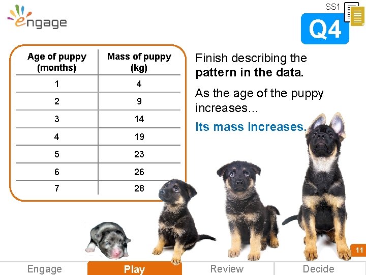 SS 1 Q 4 Age of puppy (months) Mass of puppy (kg) 1 4