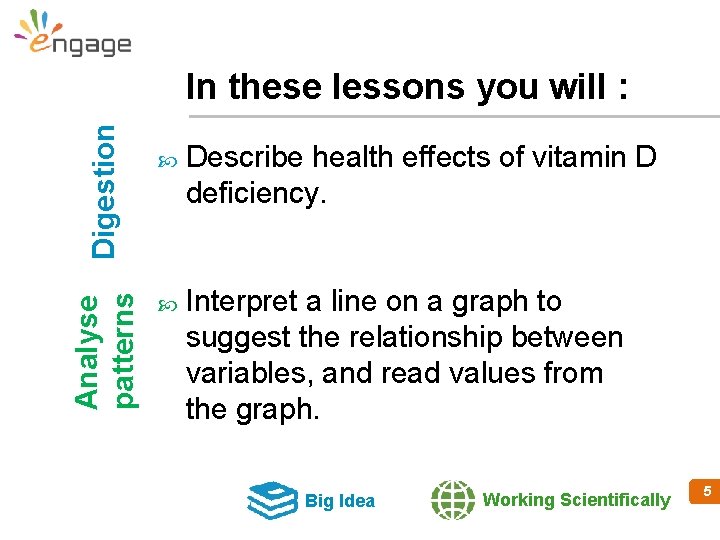 Analyse patterns Digestion In these lessons you will : Describe health effects of vitamin