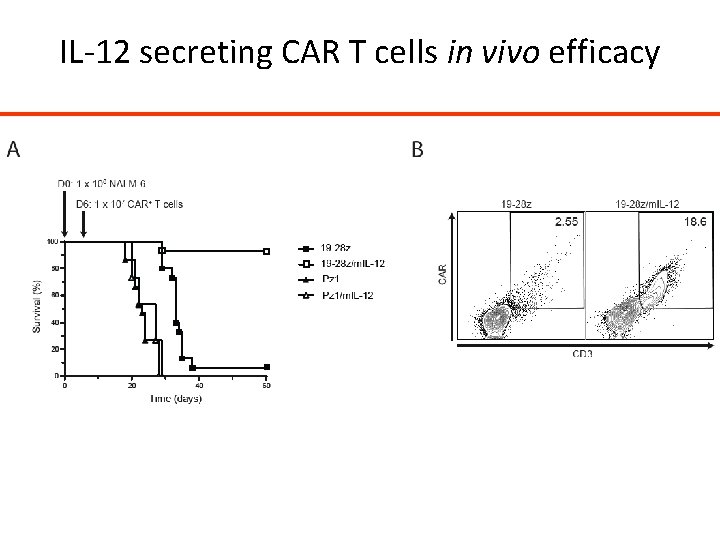 IL-12 secreting CAR T cells in vivo efficacy IL-12 secreting CAR T cells in vivo efficacy