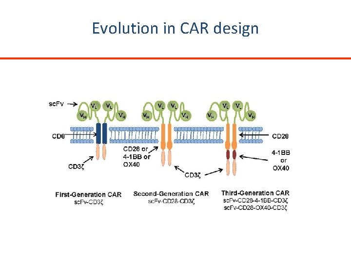 Evolution in CAR design 