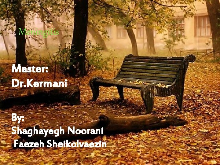 MENINGITIS Meningitis Master: Dr. Kermani By: Shaghayegh Noorani Faezeh Sheikolvaezin MENINGITIS Meningitis Master: Dr. Kermani By: Shaghayegh Noorani Faezeh Sheikolvaezin