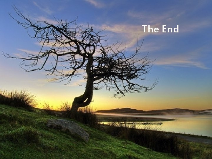 The End The End