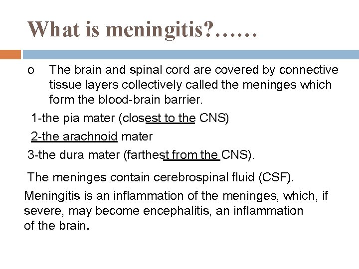 What is meningitis? …… o The brain and spinal cord are covered by connective What is meningitis? …… o The brain and spinal cord are covered by connective