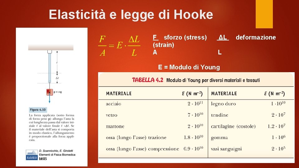 Elasticità e legge di Hooke F sforzo (stress) (strain) A ΔL L E =
