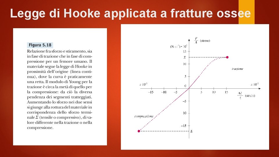 Legge di Hooke applicata a fratture ossee 