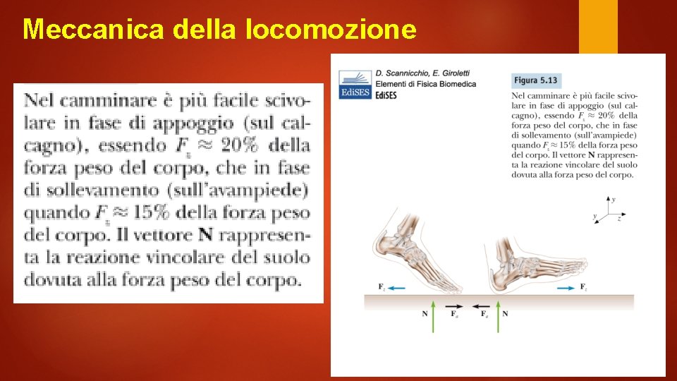 Meccanica della locomozione 