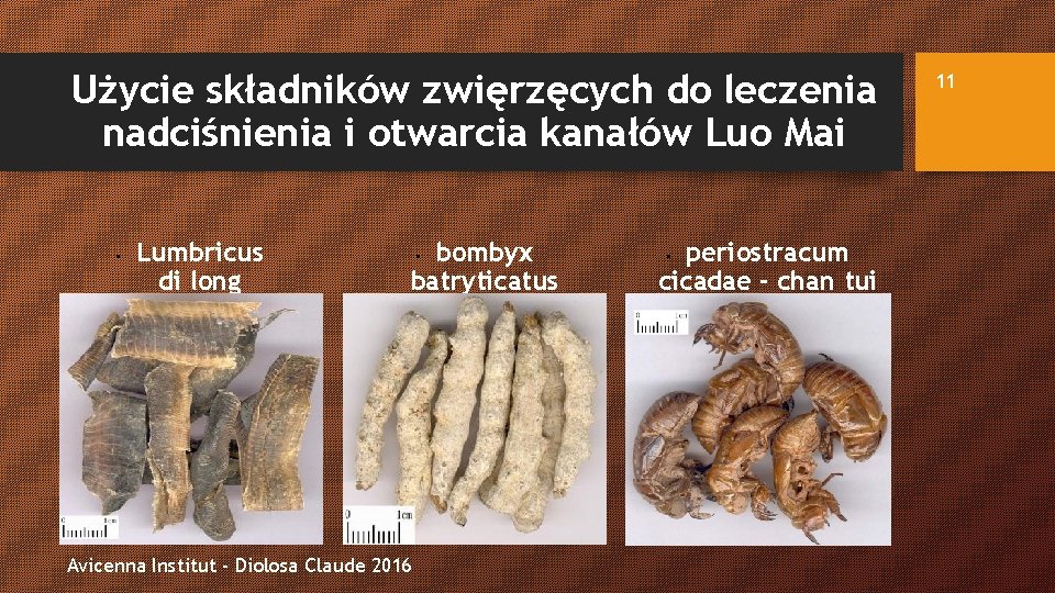 Użycie składników zwięrzęcych do leczenia nadciśnienia i otwarcia kanałów Luo Mai • Lumbricus di