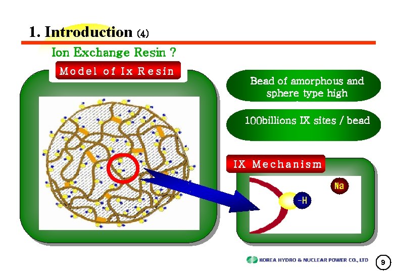 1. Introduction (4) Ion Exchange Resin ? Model of Ix R esin Bead of