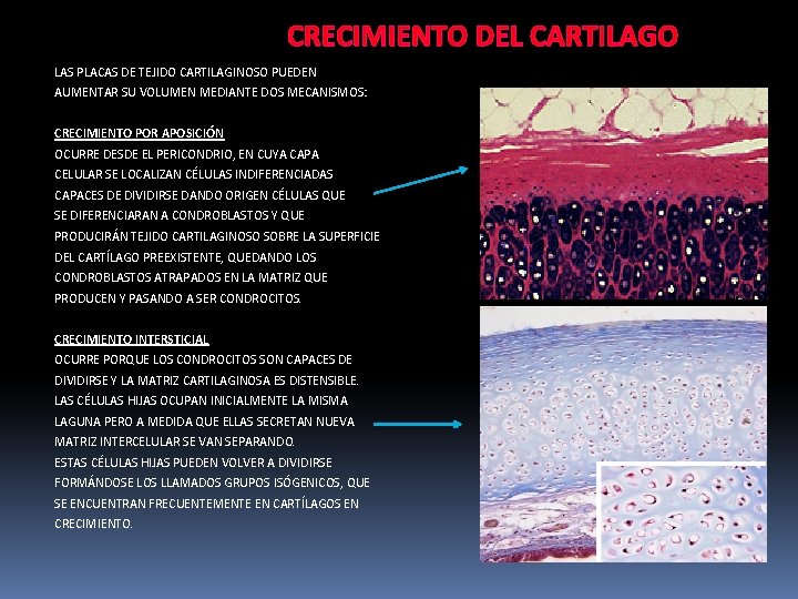 CRECIMIENTO DEL CARTILAGO LAS PLACAS DE TEJIDO CARTILAGINOSO PUEDEN AUMENTAR SU VOLUMEN MEDIANTE DOS