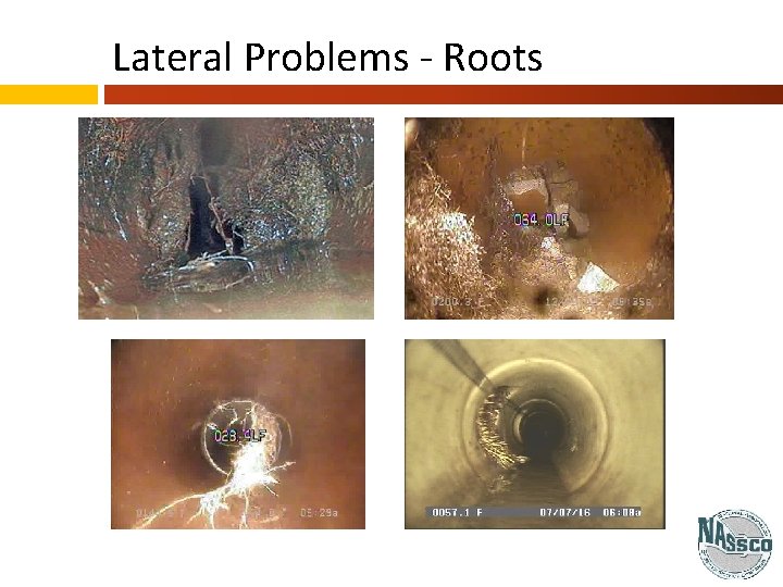 Lateral Problems - Roots 