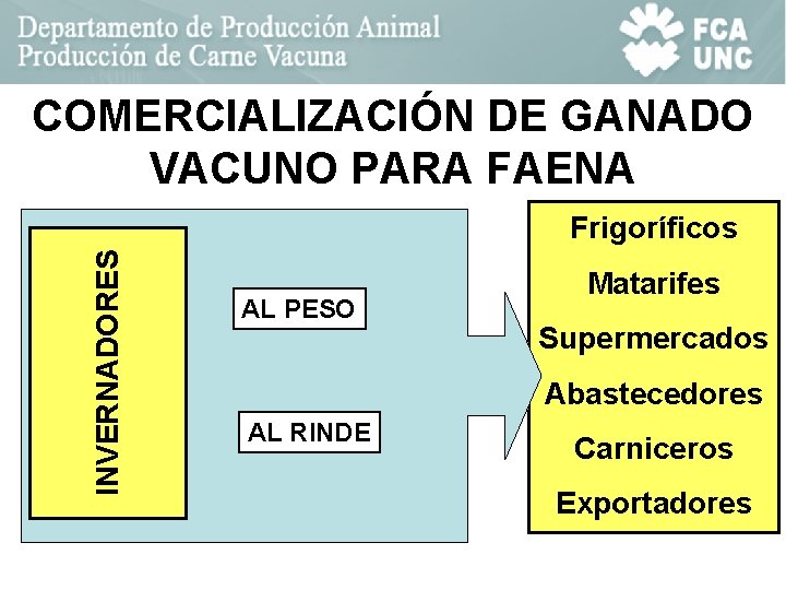 COMERCIALIZACIÓN DE GANADO VACUNO PARA FAENA INVERNADORES Frigoríficos AL PESO Matarifes Supermercados Abastecedores AL COMERCIALIZACIÓN DE GANADO VACUNO PARA FAENA INVERNADORES Frigoríficos AL PESO Matarifes Supermercados Abastecedores AL