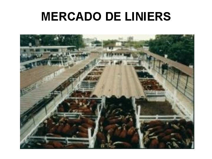 MERCADO DE LINIERS MERCADO DE LINIERS