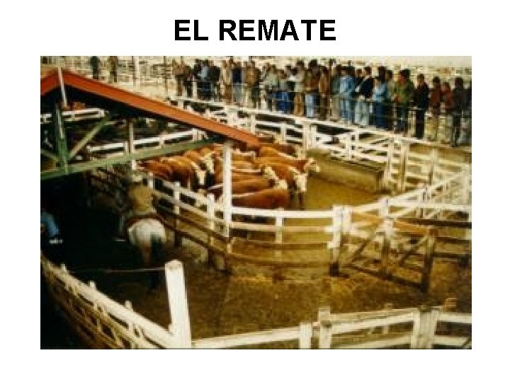 EL REMATE EL REMATE