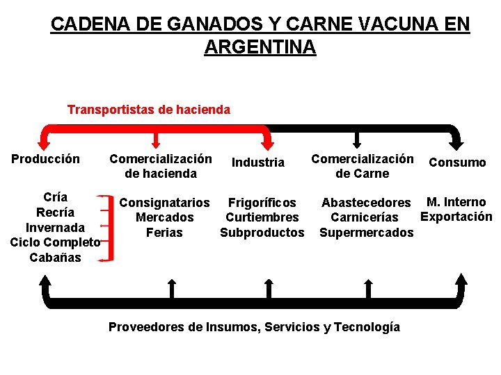 CADENA DE GANADOS Y CARNE VACUNA EN ARGENTINA Transportistas de hacienda Producción Cría Recría CADENA DE GANADOS Y CARNE VACUNA EN ARGENTINA Transportistas de hacienda Producción Cría Recría