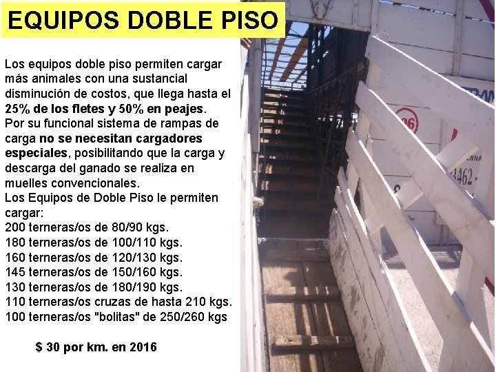 EQUIPOS DOBLE PISO Los equipos doble piso permiten cargar más animales con una sustancial EQUIPOS DOBLE PISO Los equipos doble piso permiten cargar más animales con una sustancial
