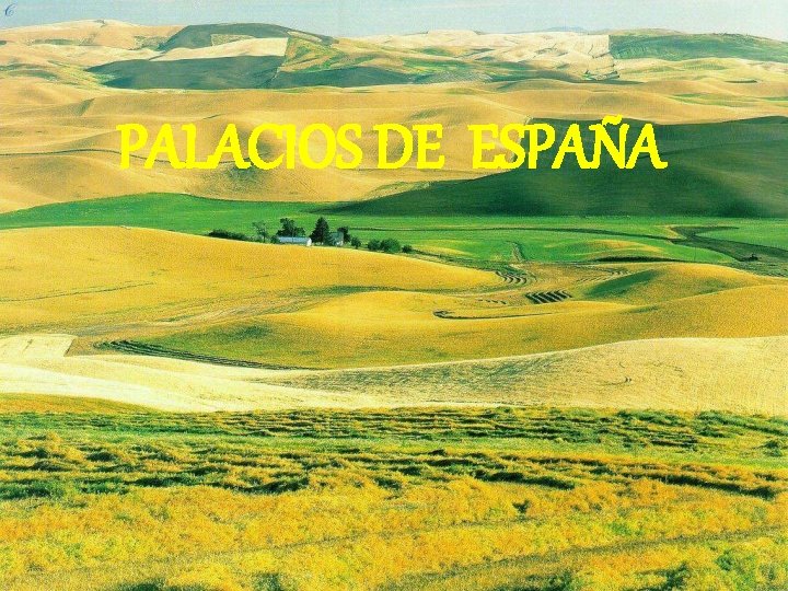 PALACIOS DE ESPAÑA 