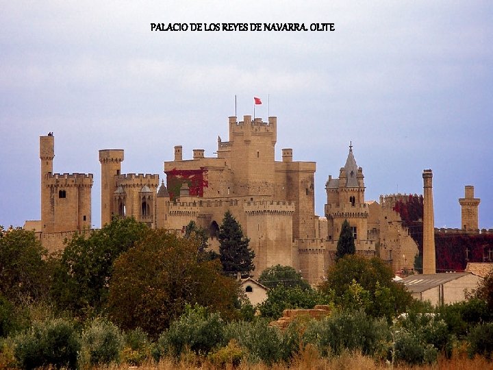 PALACIO DE LOS REYES DE NAVARRA. OLITE 