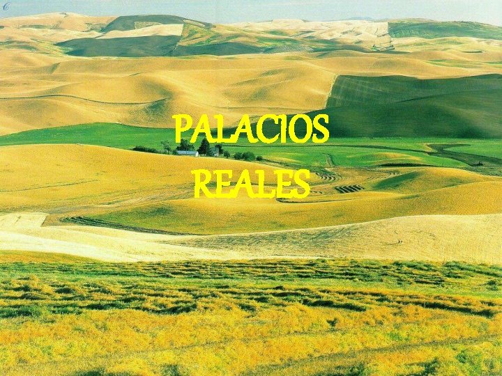 PALACIOS REALES 