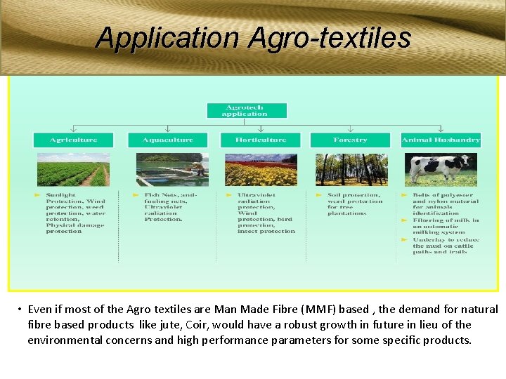 Application Agro-textiles Application area of AGRO textiles • Even if most of the Agro