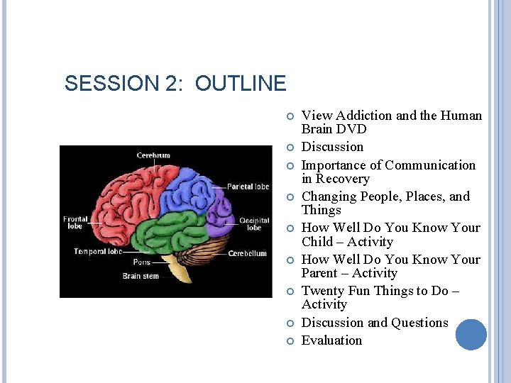 SESSION 2: OUTLINE View Addiction and the Human Brain DVD Discussion Importance of Communication