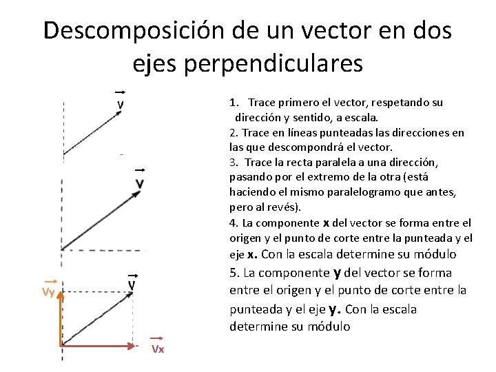 Descomposición de un vector en dos ejes perpendiculares 1. Trace primero el vector, respetando