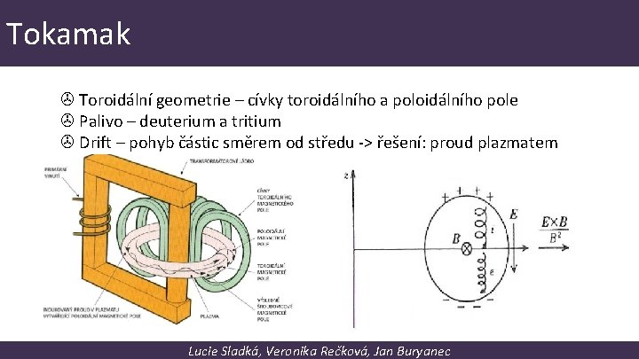 Tokamak Toroidální geometrie – cívky toroidálního a poloidálního pole Palivo – deuterium a tritium