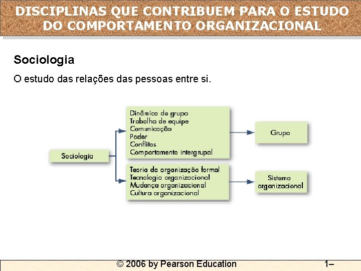 DISCIPLINAS QUE CONTRIBUEM PARA O ESTUDO DO COMPORTAMENTO ORGANIZACIONAL Sociologia O estudo das relações