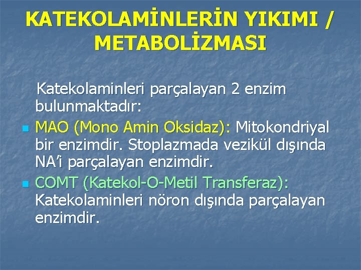 KATEKOLAMİNLERİN YIKIMI / METABOLİZMASI n n Katekolaminleri parçalayan 2 enzim bulunmaktadır: MAO (Mono Amin