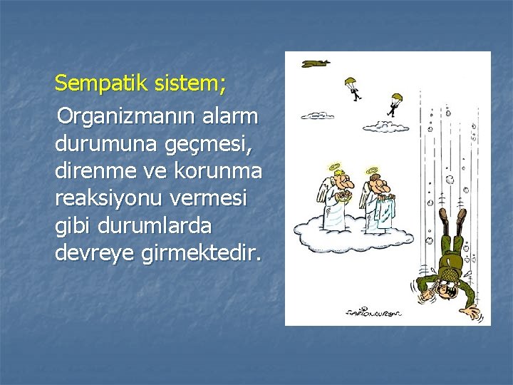 Sempatik sistem; Organizmanın alarm durumuna geçmesi, direnme ve korunma reaksiyonu vermesi gibi durumlarda devreye