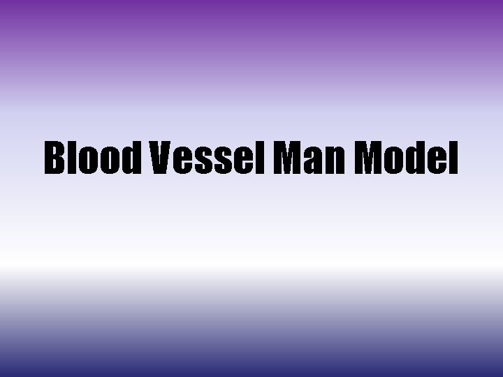 Blood Vessel Man Model 