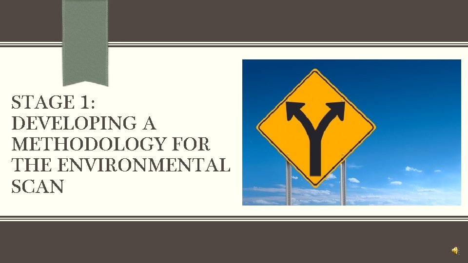 STAGE 1: DEVELOPING A METHODOLOGY FOR THE ENVIRONMENTAL SCAN 