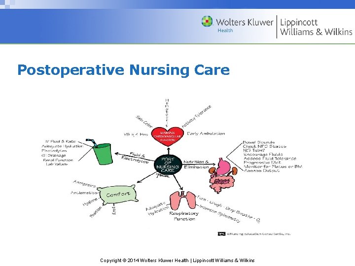 Postoperative Nursing Care Copyright © 2014 Wolters Kluwer Health | Lippincott Williams & Wilkins Postoperative Nursing Care Copyright © 2014 Wolters Kluwer Health | Lippincott Williams & Wilkins