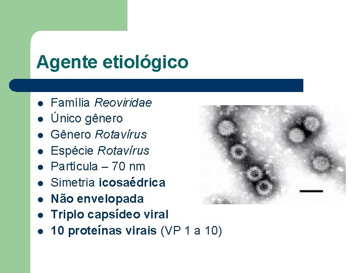 Agente etiológico l l l l l Família Reoviridae Único gênero Gênero Rotavírus Espécie