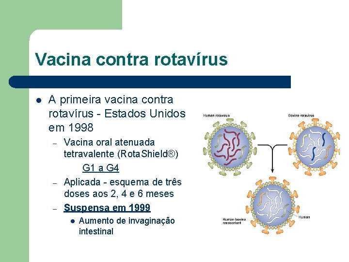 Vacina contra rotavírus l A primeira vacina contra rotavírus - Estados Unidos em 1998