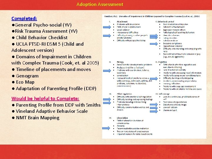 Adoption Assessment Completed: ●General Psycho-social (YV) ●Risk Trauma Assessment (YV) ● Child Behavior Checklist