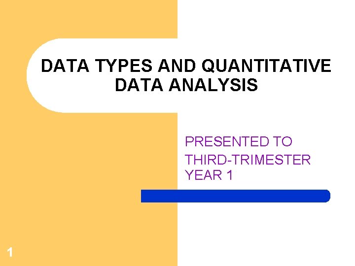 DATA TYPES AND QUANTITATIVE DATA ANALYSIS PRESENTED TO THIRD-TRIMESTER YEAR 1 1 