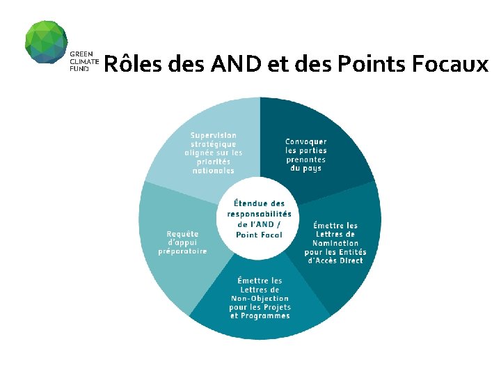 Rôles des AND et des Points Focaux 