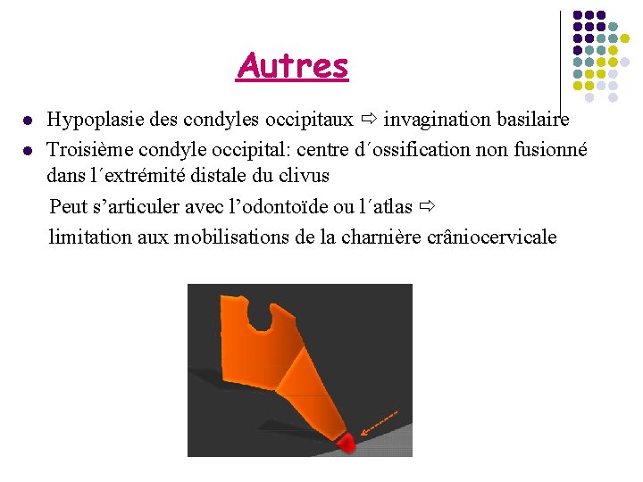 Autres l l Hypoplasie des condyles occipitaux invagination basilaire Troisième condyle occipital: centre d´ossification