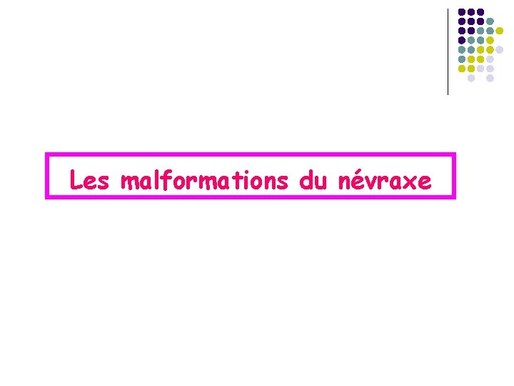 Les malformations du névraxe 