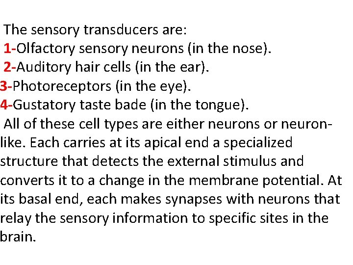 The sensory transducers are: 1 -Olfactory sensory neurons (in the nose). 2 -Auditory hair