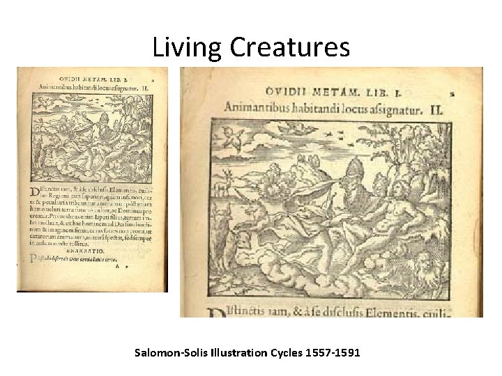 Living Creatures Salomon-Solis Illustration Cycles 1557 -1591 