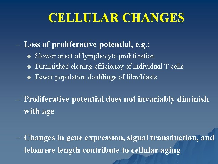 CELLULAR CHANGES – Loss of proliferative potential, e. g. : u u u Slower