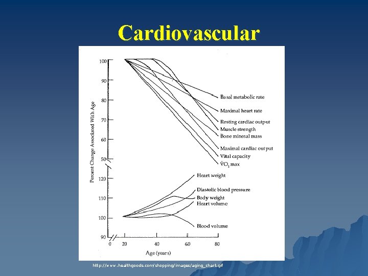 Cardiovascular http: //www. healthgoods. com/shopping/images/aging_chart. gif 