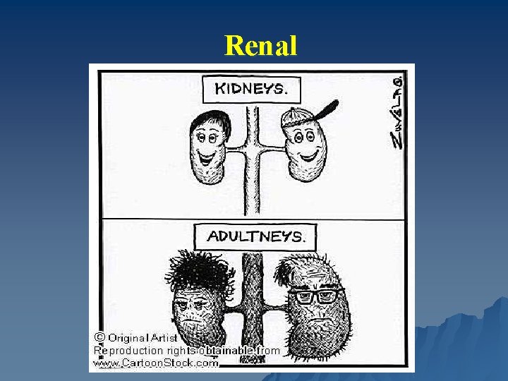 Renal 