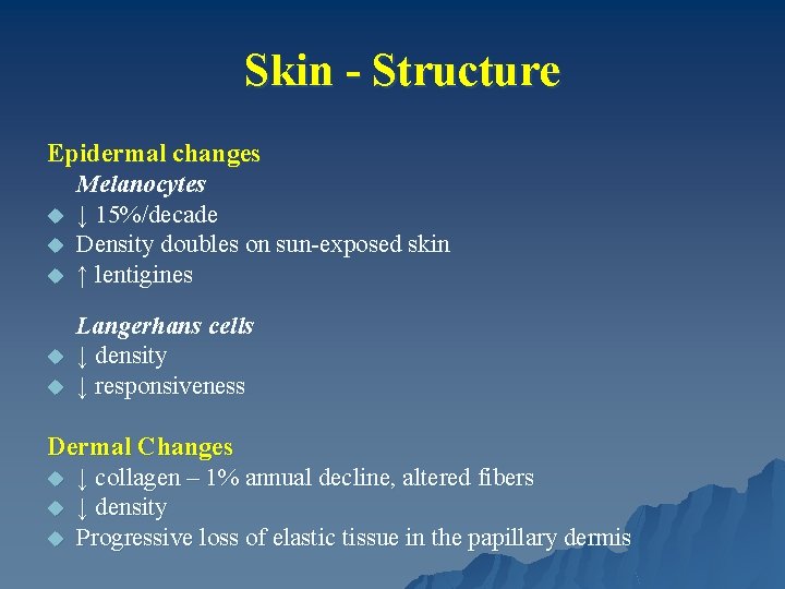 Skin - Structure Epidermal changes Melanocytes u ↓ 15%/decade u Density doubles on sun-exposed